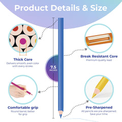 Colored Pencils, Pre Sharpened, 12 Vibrant Colors