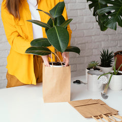 Rosmonde Kraft Paper Bag with Handle, 5.91" x 3.25" x 8.375", Kraft Gift Bags Bulk