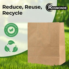 Rosmonde Kraft Paper Take Out Bag, 10.24" x 6" x 14", Brown Gift Wrapping & Grocery Bags Bulk